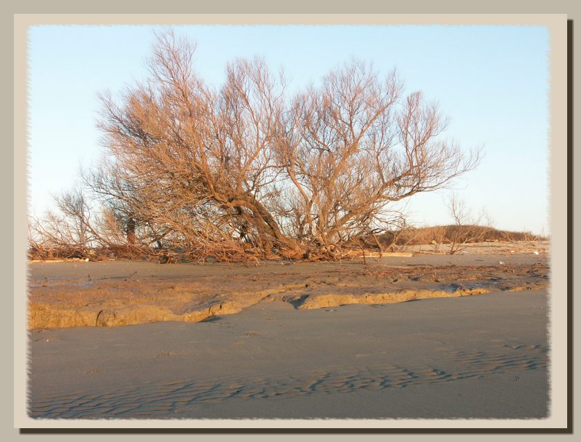 Il mare di Ostia come piace a me